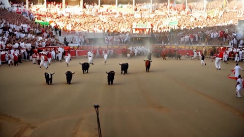 MardiB - Running Bulls