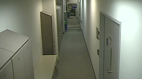 8803VZN06USCPInteriorHallway_2021-01-05_17h20min00s967ms.mp4