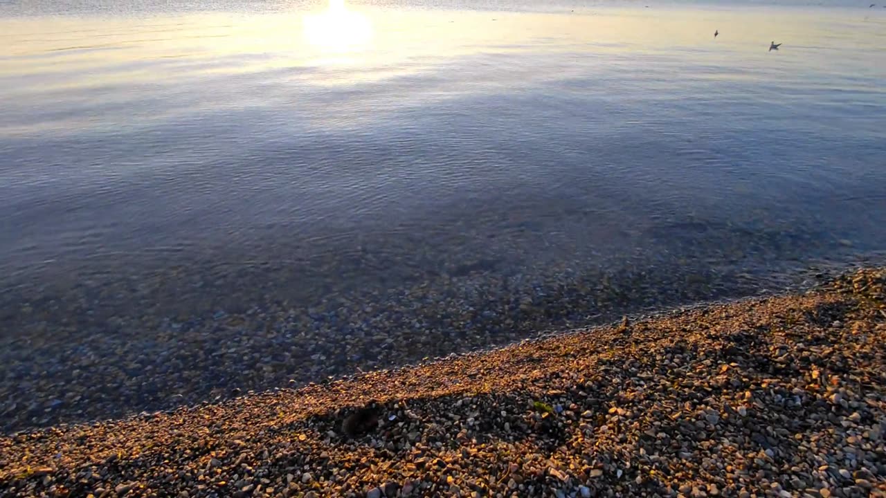 If you are not happy, then come to the Erhai Sea to take a break