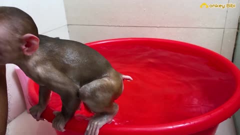 BiBi plays with soap bubbles