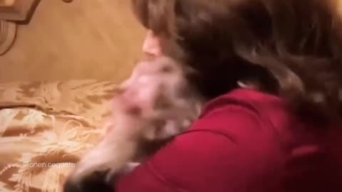 All animal feel pain animal🐵🐔🐶🐷