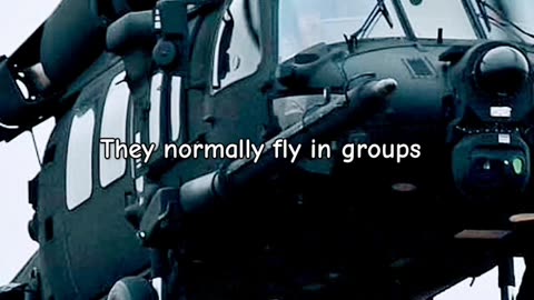 RABBIT HOLES & TOBACCO BOWLS: THE BLACK HELICOPTER CONSPIRACY
