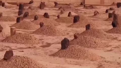 #natenewviralvideo