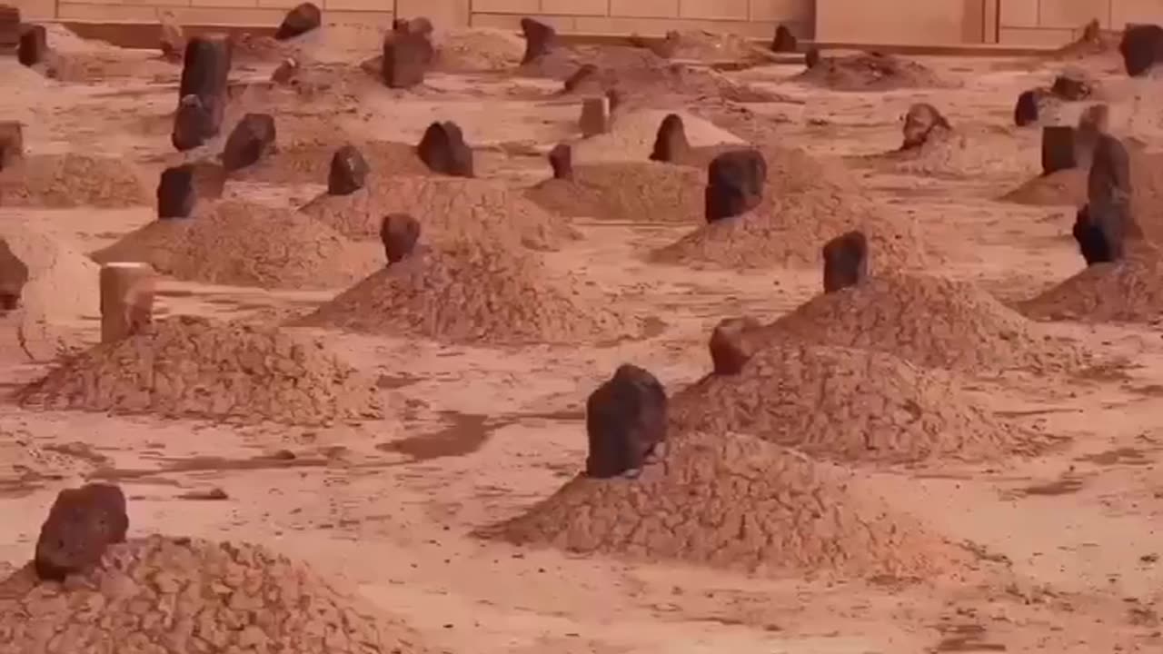 #natenewviralvideo
