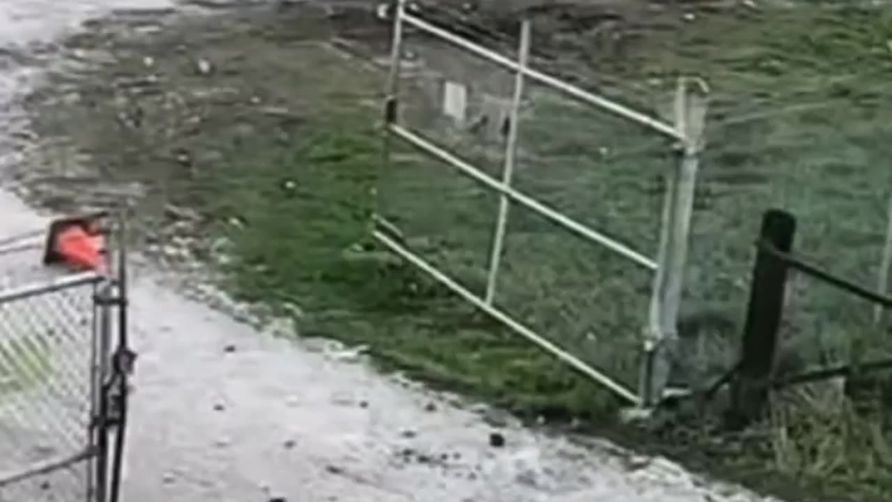 Antifa Attacks Cop City