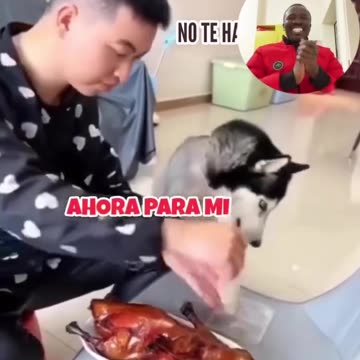 Regardez ce video et écrit