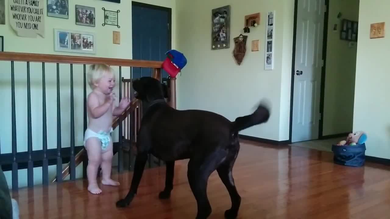 Adorable Toddler And His Dog Share Special Bond Since Birth