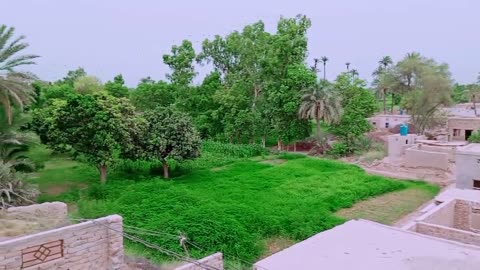 My Village Natural Beauty