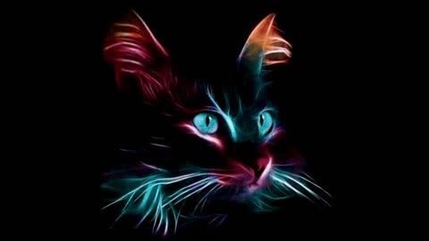 Fantasy cat gif video