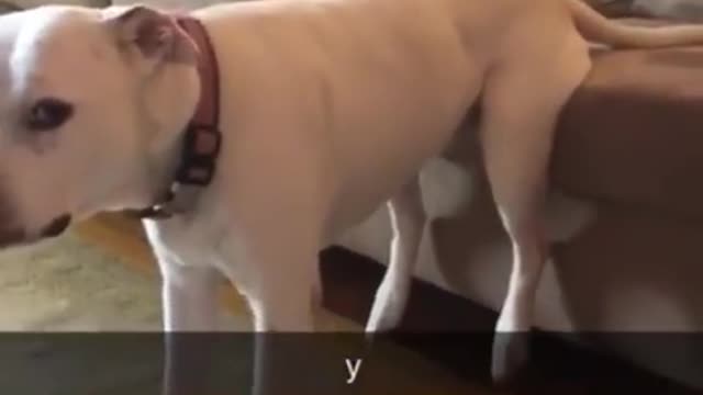 Relax your back legs