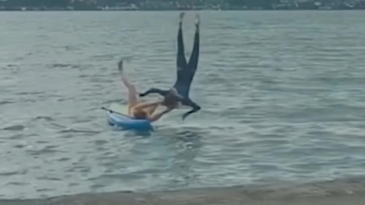 Funniest And Fun Fails Of The Month