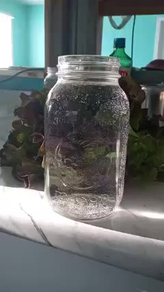 Why Are There Bubbles In My Water????