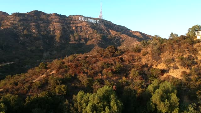 hollywood ............