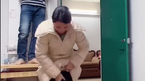 Best Funny Videos 2023