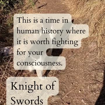 PathandTarot Readings From Nature and the Hanged Magician