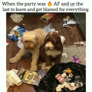 Wouldn’t have been as embarrassing without that slide.