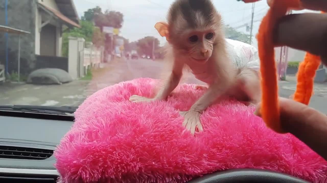 Good bye baby kimmy,, read the description