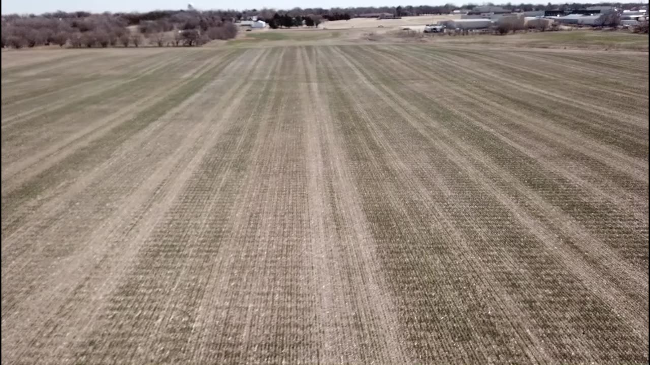 Drone footage of 2023 of Winter Wheat in North Central Kansas