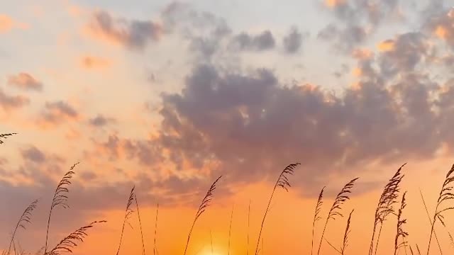 Did a beautiful sunrise session for a sweet family and was blessed to enjoy all this. 🥰💗