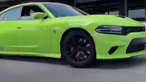 184 Dodge Charger Burnout