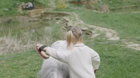 CUTE GIRL COMB HER HORSES