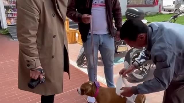 Admito que este es uno de mis videos favoritos