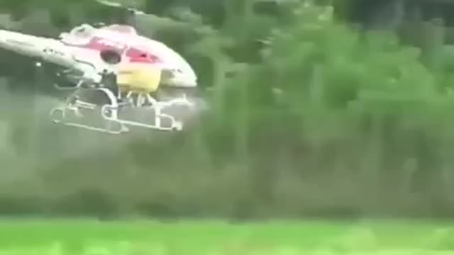 World's Biggest Remote controled helicopter 🚁