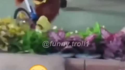 https://www.instagram.com/reel/CwaKEBeooD-/?igshid=MzRlODBiNWFlZA==