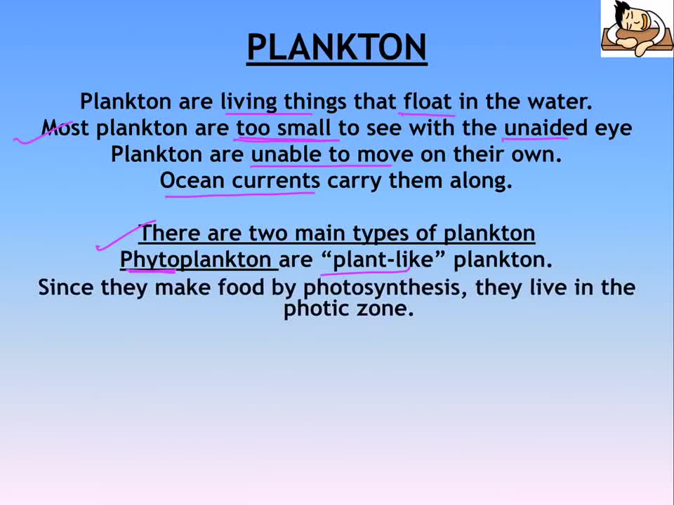 Environment and Ecology Lecture 9.1 - Marine Organisms
