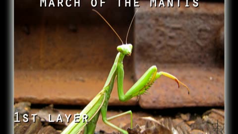 "March of the Mantis" [audio] preview 1st layer 06/01/2023