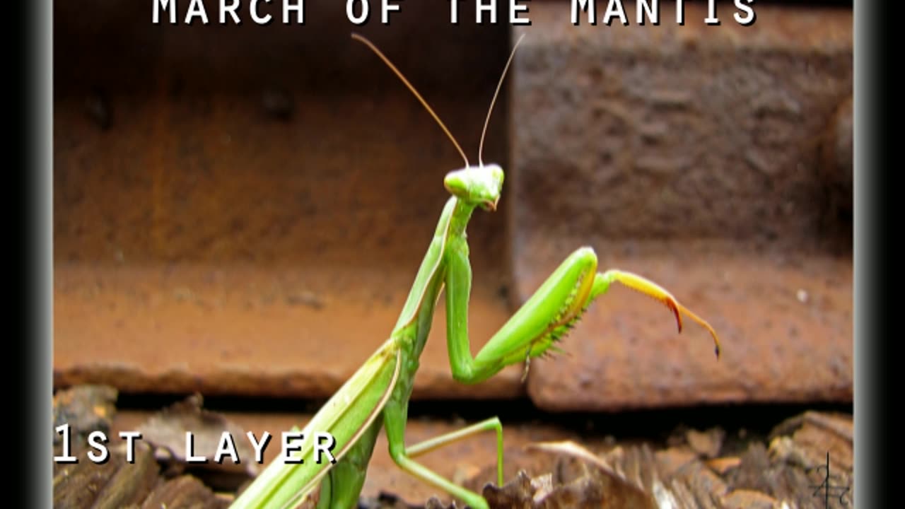 "March of the Mantis" [audio] preview 1st layer 06/01/2023