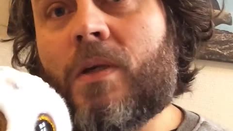 Breaking: Dukker kan også få corona! | PER BRÆNDGAARD