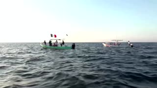 Humpback whales delight tourists in Mexico