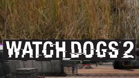 Mr Beast Watch dogs 2