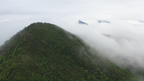 Fog hit top of the mountain