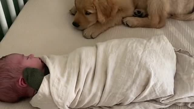 Bffs in the making