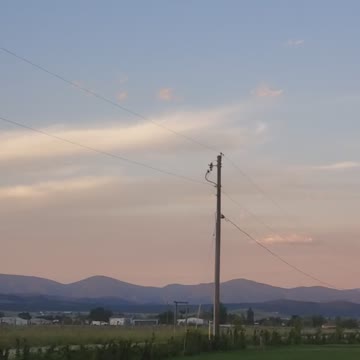 They sprayed us last night to