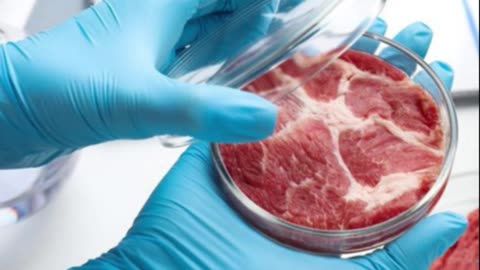 Governo italiano planeja proibir produção de carne de laboratório