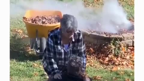 Old Grandparents Falling inLove