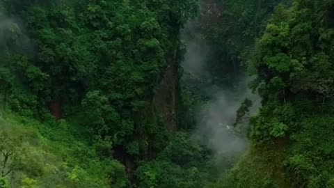 Nice place