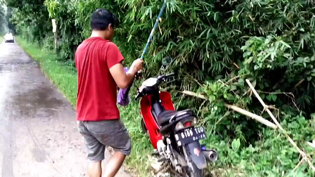 Mancing di pinggiran hutan ngeri ngeri sedap banyak binatang nya