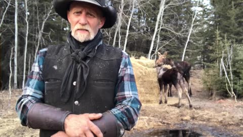 True Canadian Cowboy: A Little Life Lesson Goes A long Way😎