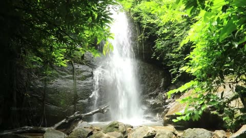 The Amazing Water Fall in the whole world