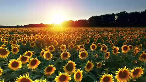 Put happiness into the key repetition.
