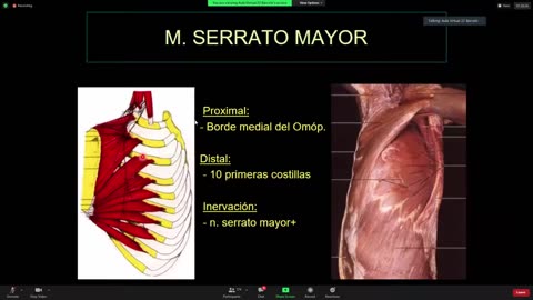 Clase 4 - Biomecanica y Cintura Escapular - Dr Sergio Paez 24-03-2021