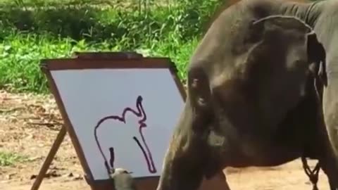 Unveiling the First Drawing Elephant!