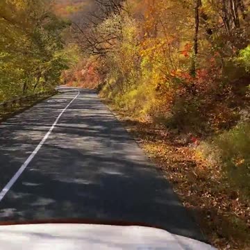 #viralchallenge #video #virals #vlog #viral #view