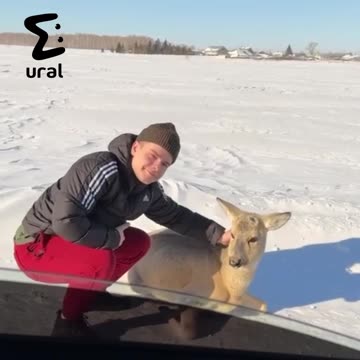 Silly tourists always wanting selfies 🤣🤣