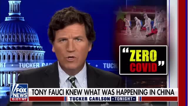 China Protest Highlights Tucker Carlson Fox News