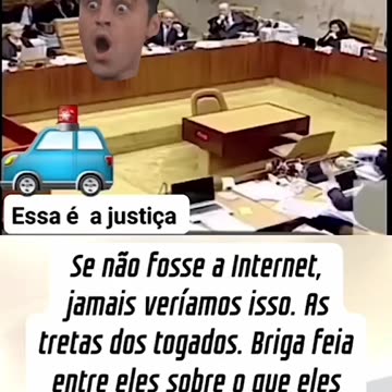 STF: um saco de gatos